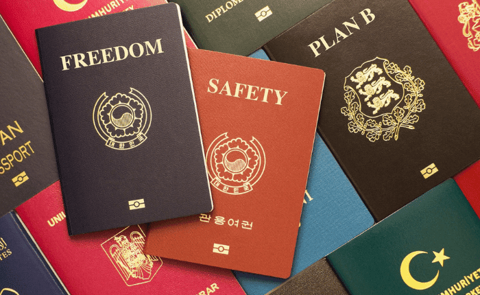 convicted felons and passports