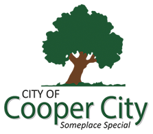 cooper city passport