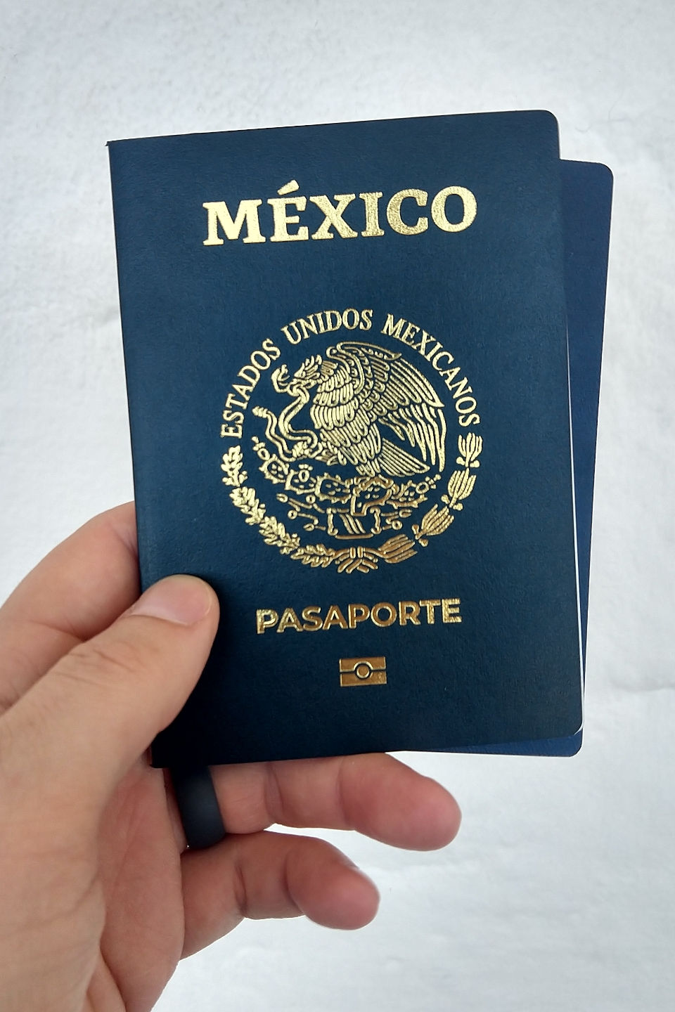 cost for mexican passport