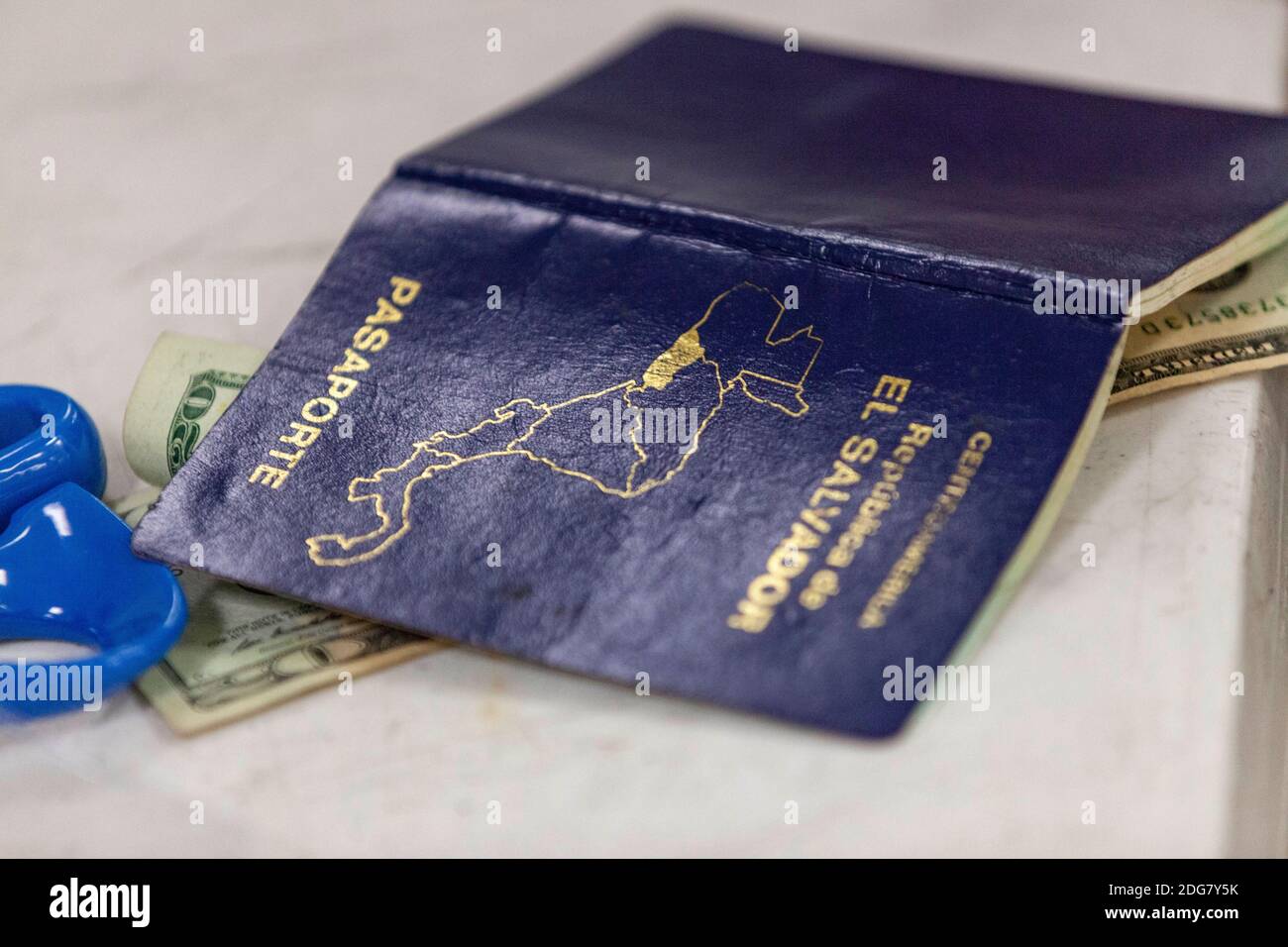 cost of a new passport