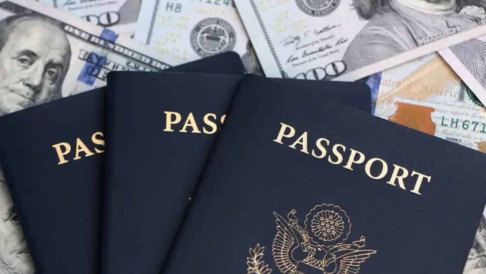 cost of an emergency passport