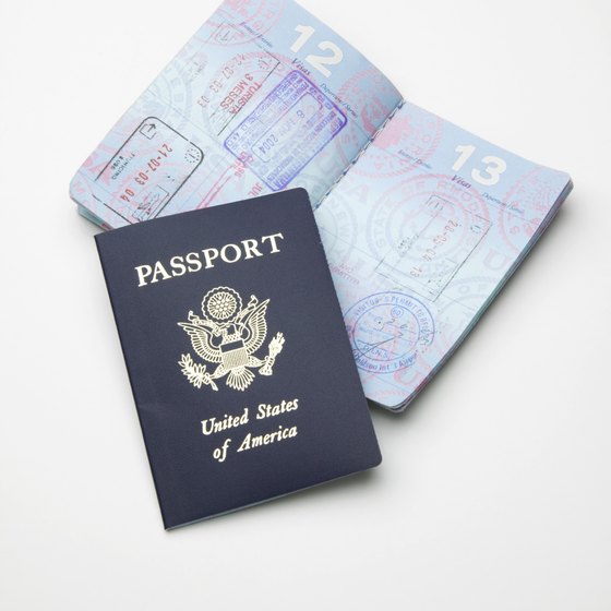 cost of passport michigan