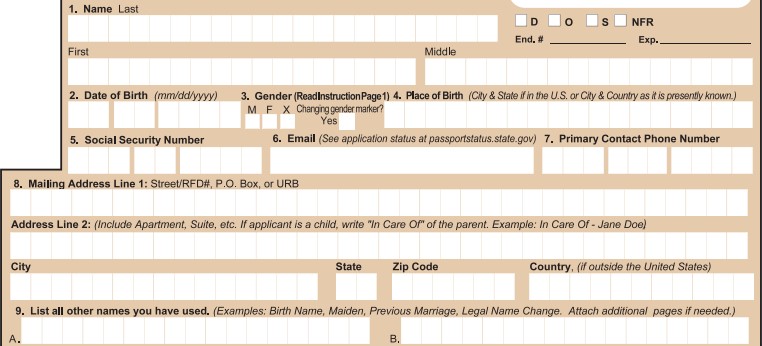 d11 passport form