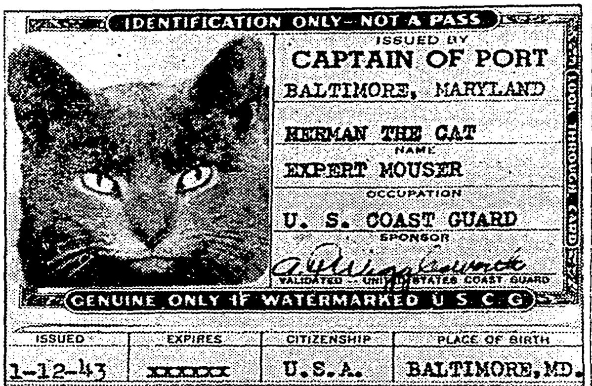 did cats have passports on ships