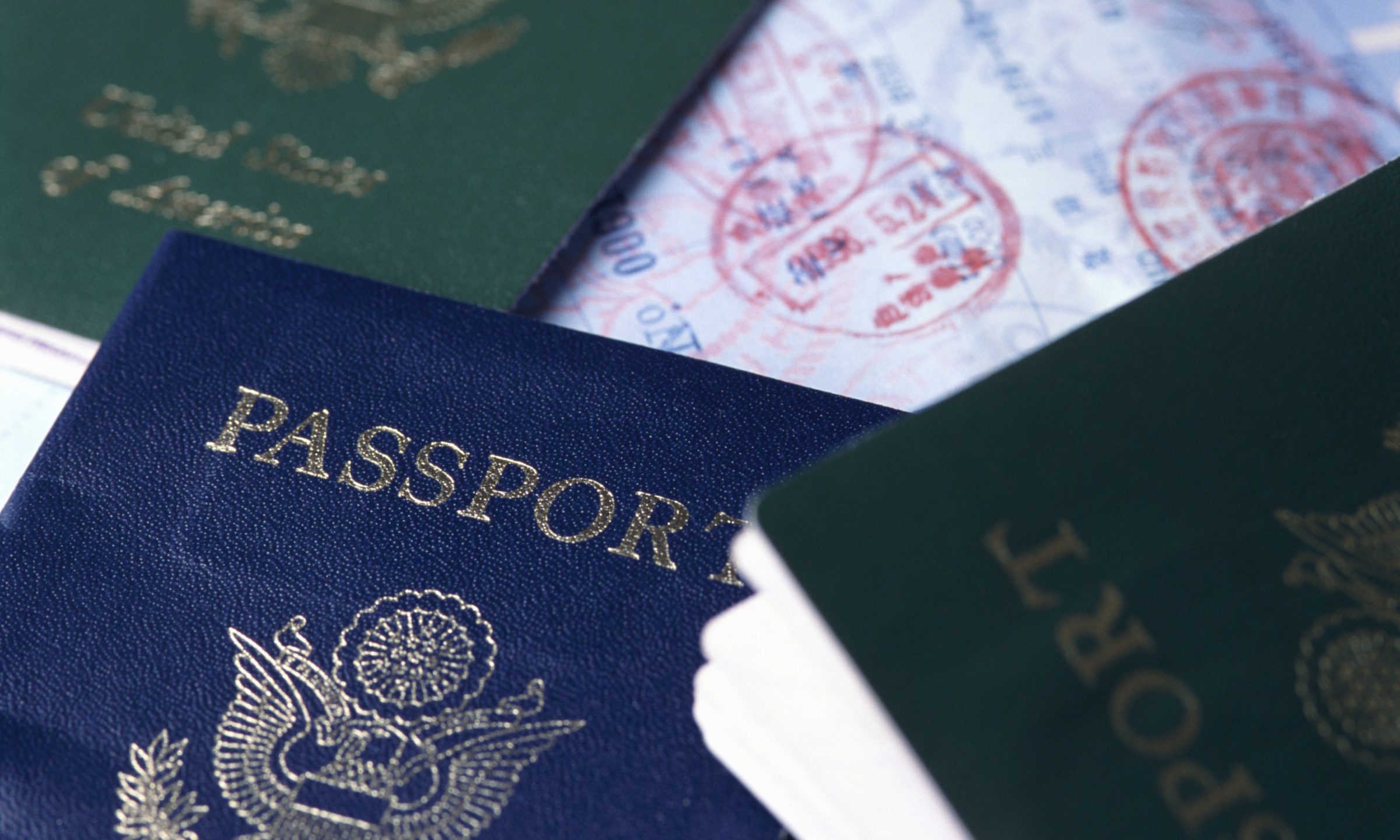 difference between official passport and ordinary passport