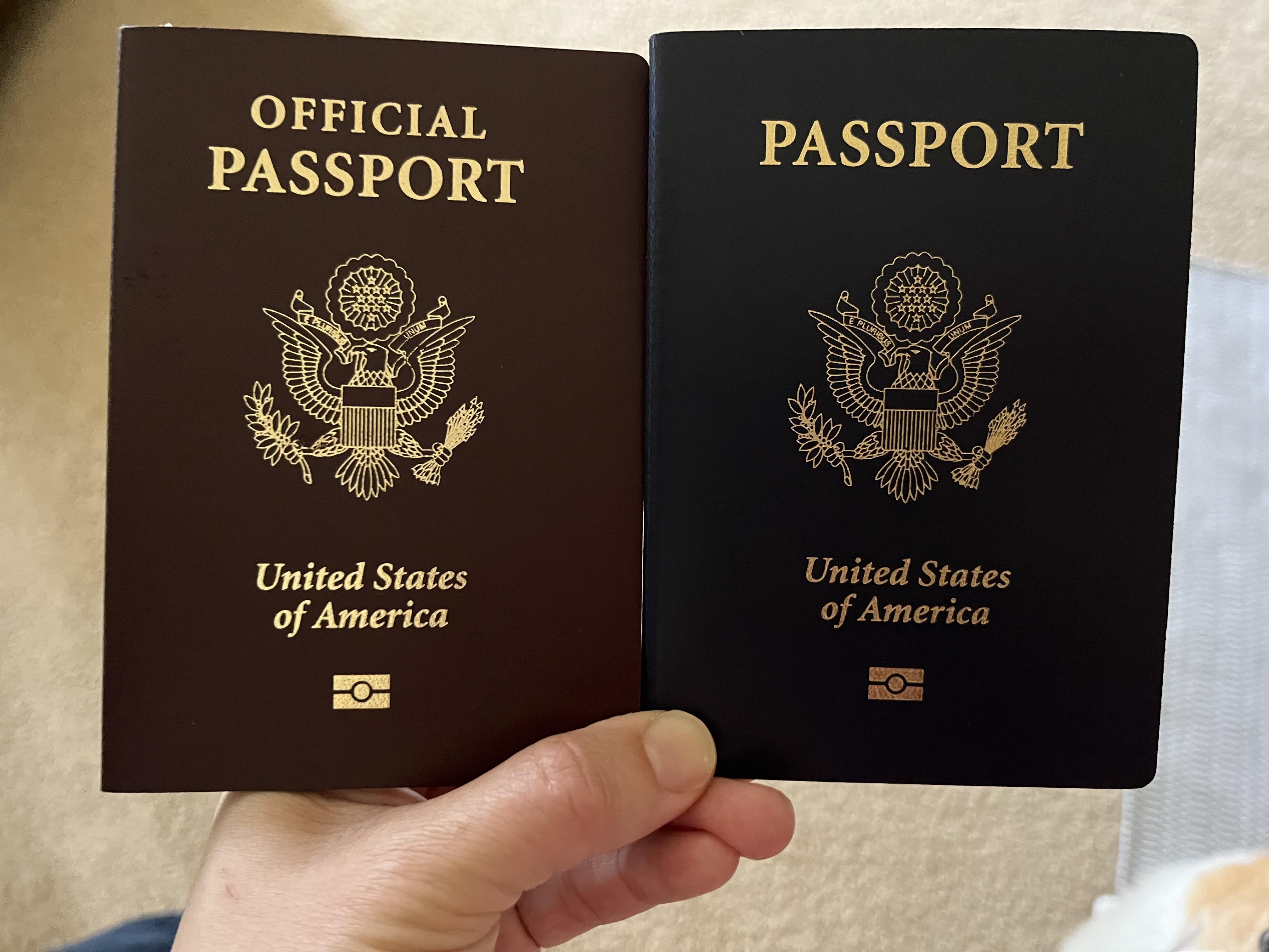 difference between ordinary and official passport