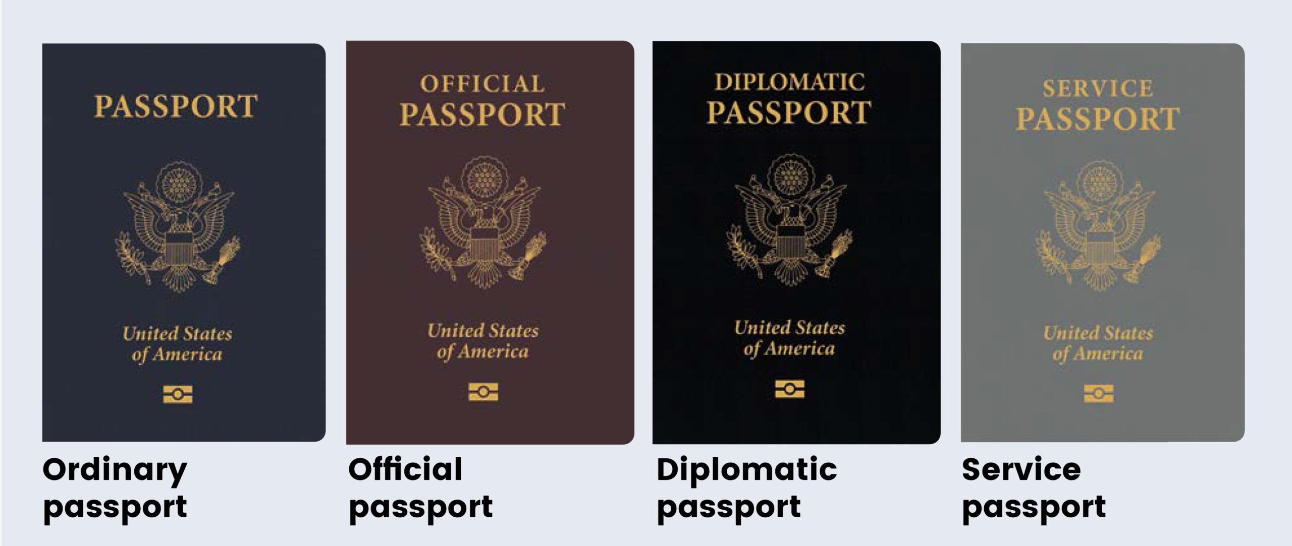 different type of passports