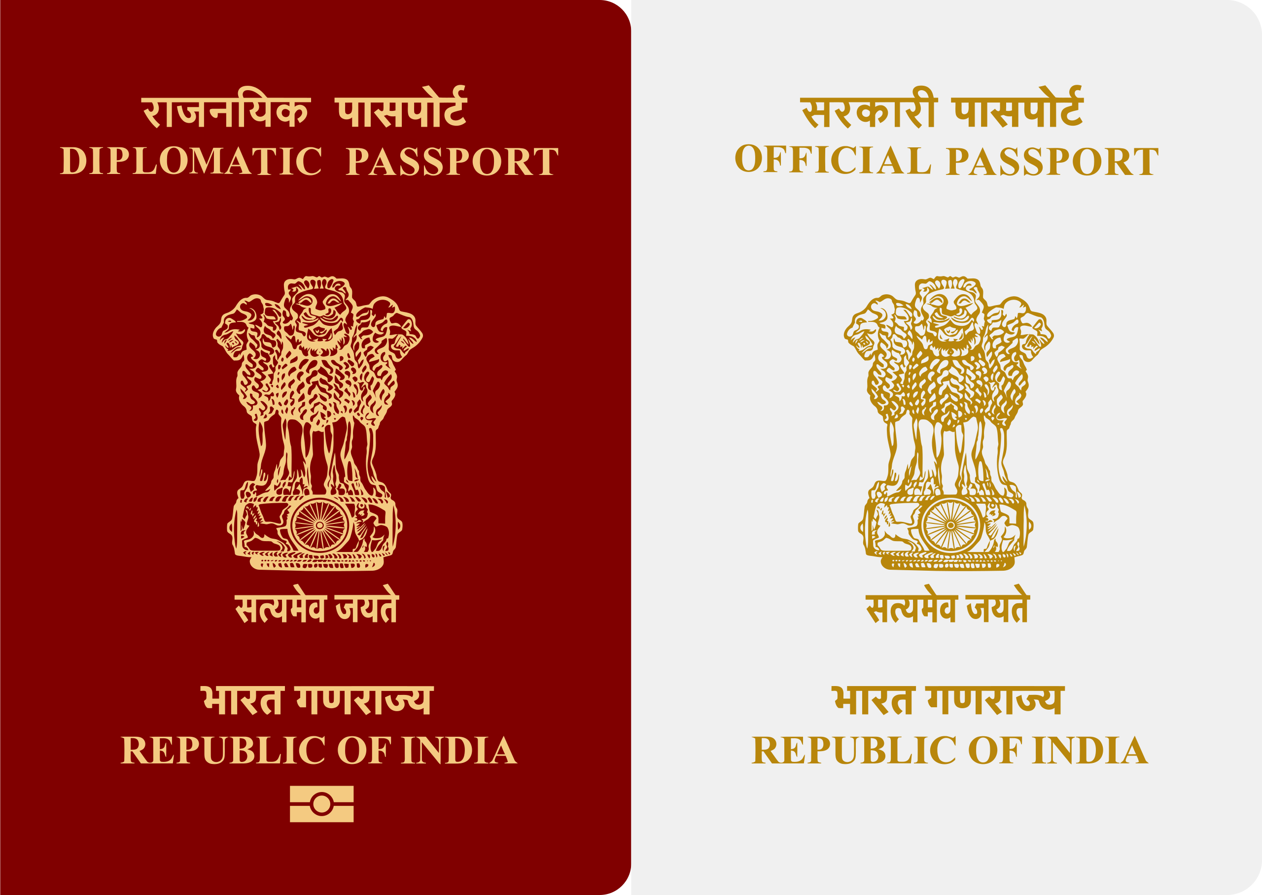 diplomatic passport meaning