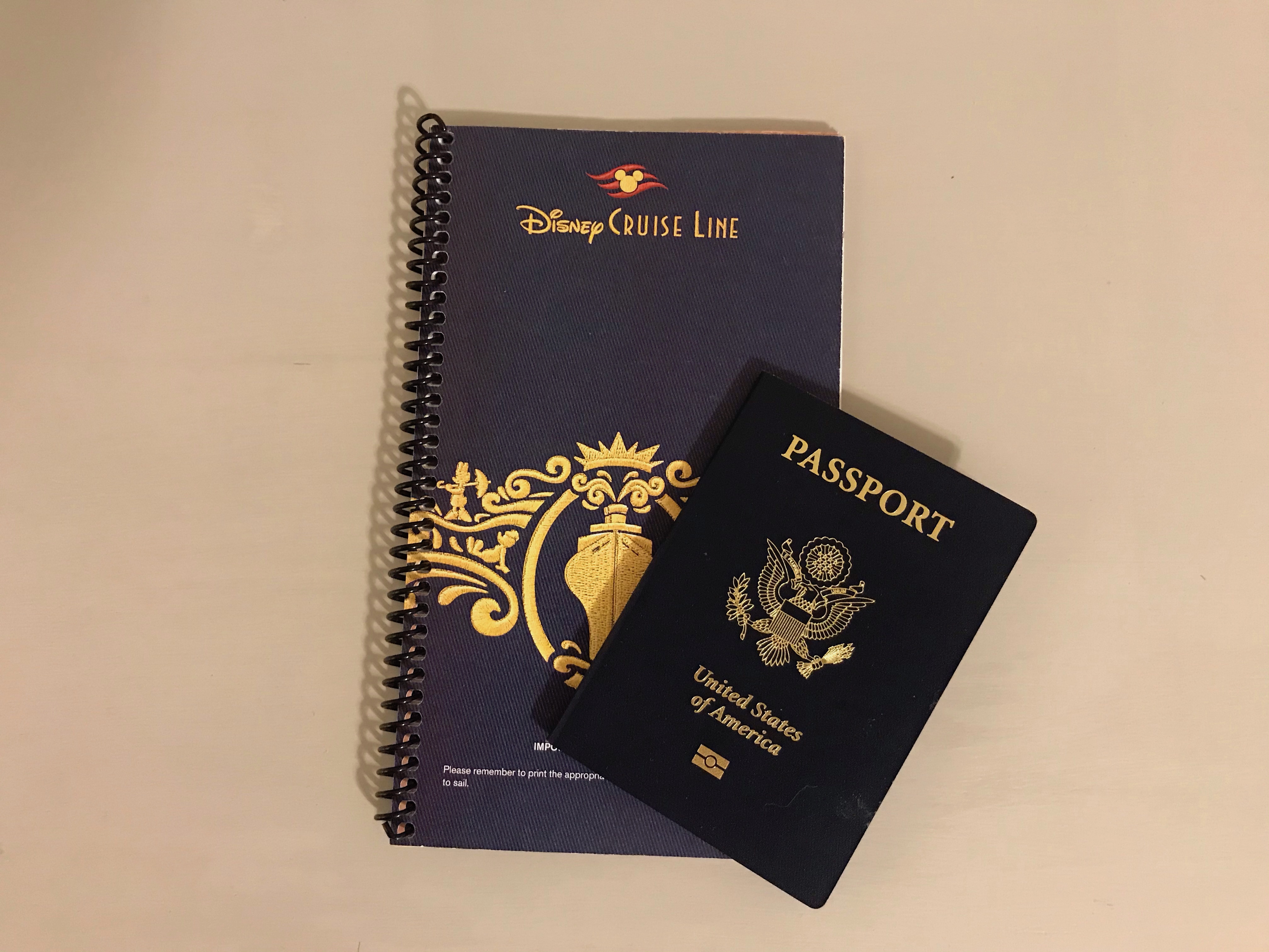 disney cruise passport