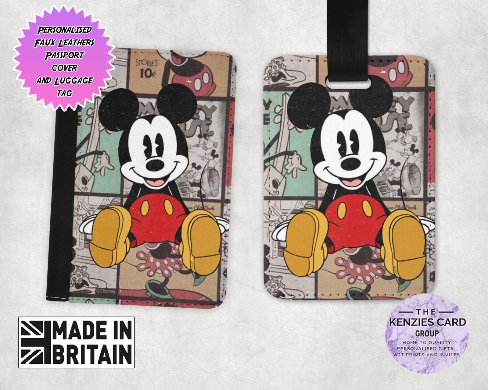 disney passport holder