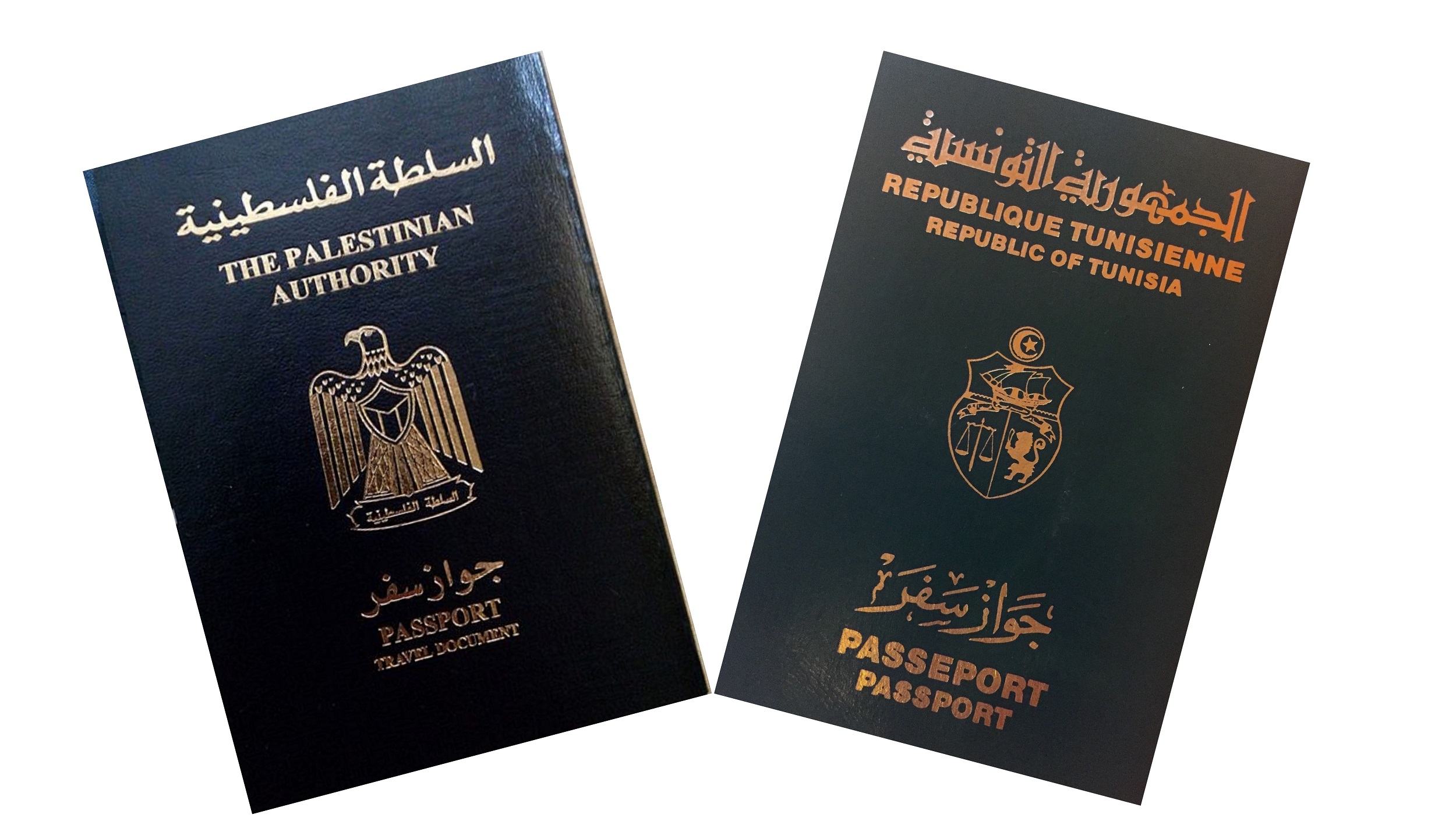 do palestinian have passport