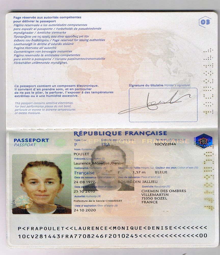 do you have a passport in french