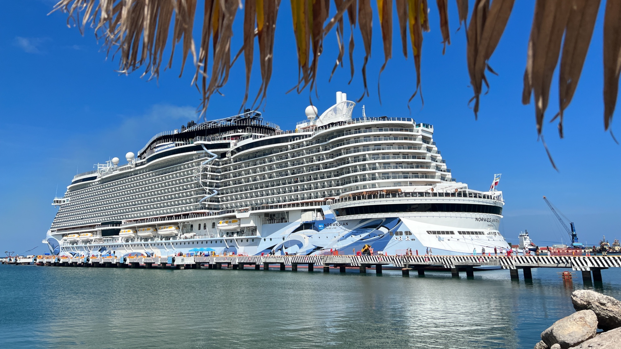 do you need a passport for norwegian cruise