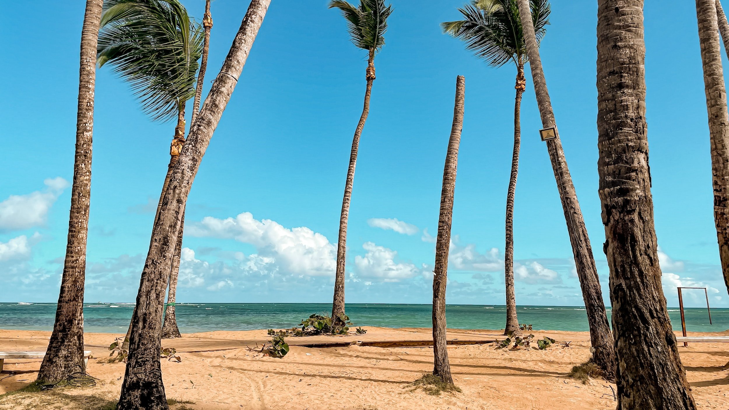 do you need a passport to go the dominican republic