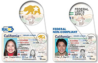 do you need real id if you have a passport