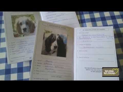 does pets need passport