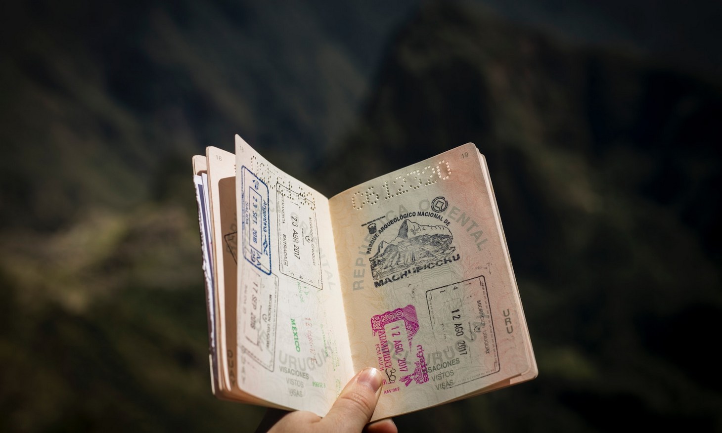 does the passport number change after renewal