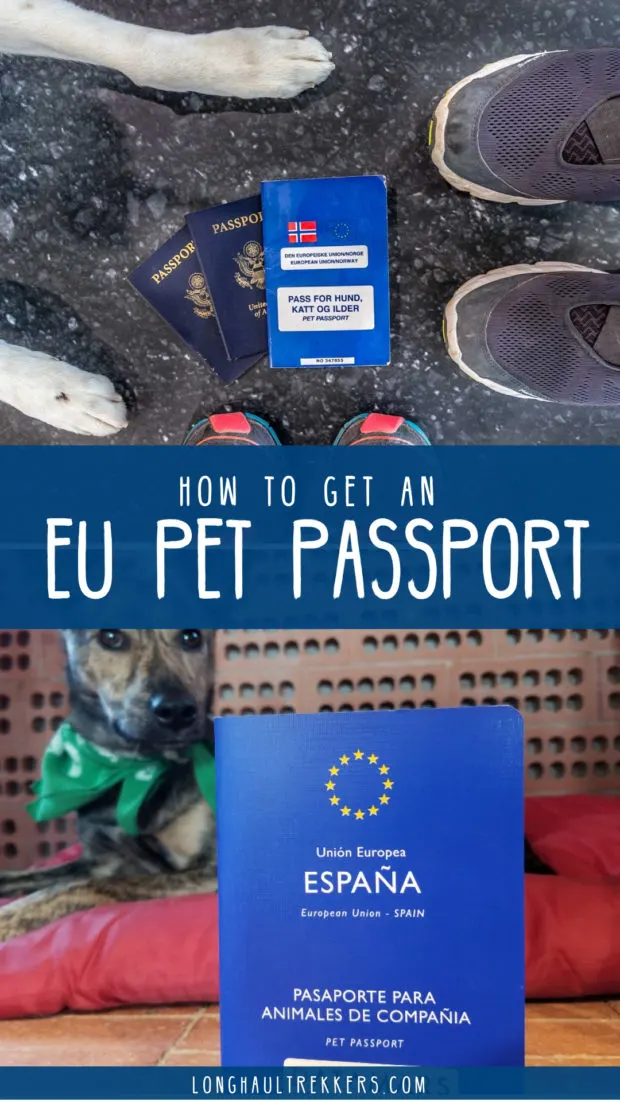 dog passport how much