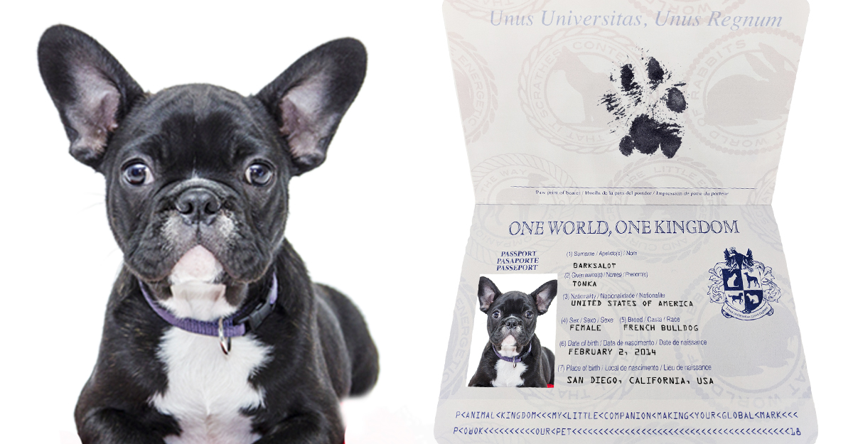 dog passport usa