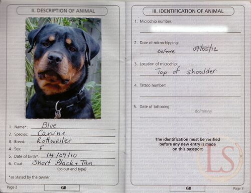 dog passports