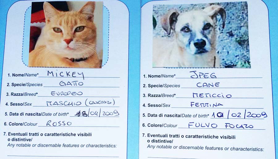 dog passports