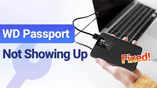 driver hdd wd my passport