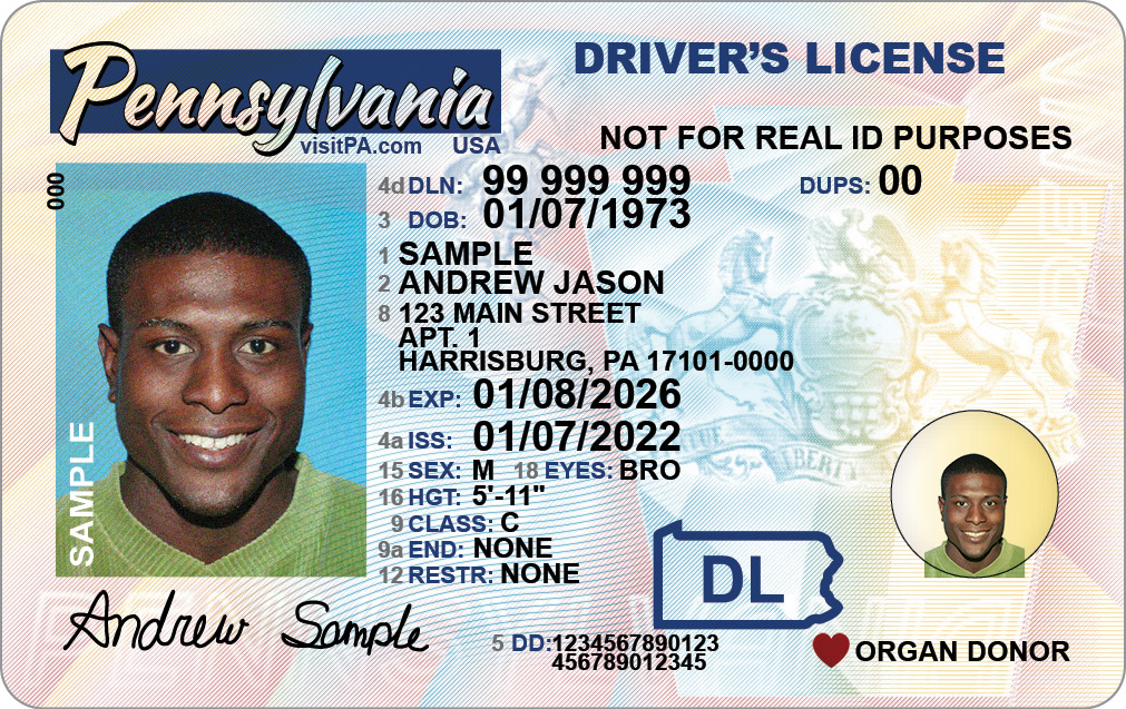 drivers license and passport