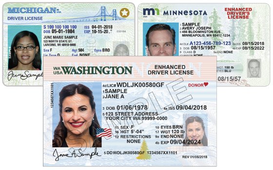 drivers license and passport