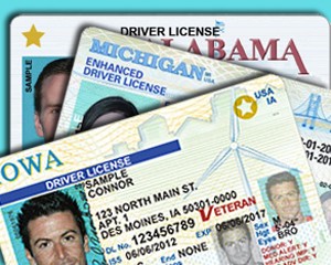 drivers license passport