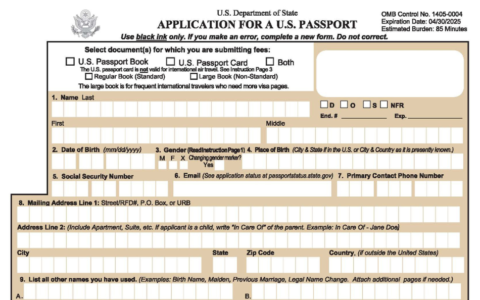 ds 11 online passport application