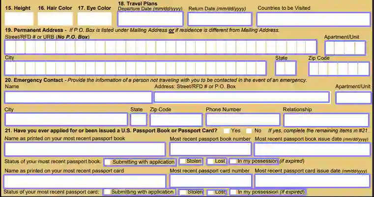 ds 11 passport form fillable