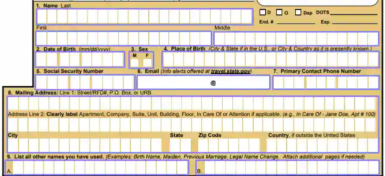 ds-11 passport form online