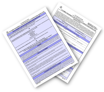 ds 64 form lost passport