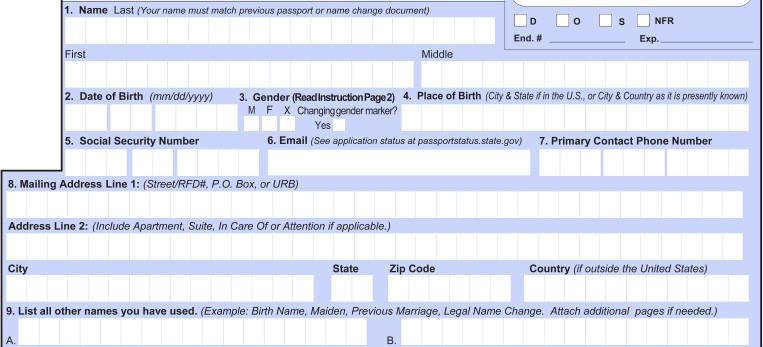 ds-82 passport application