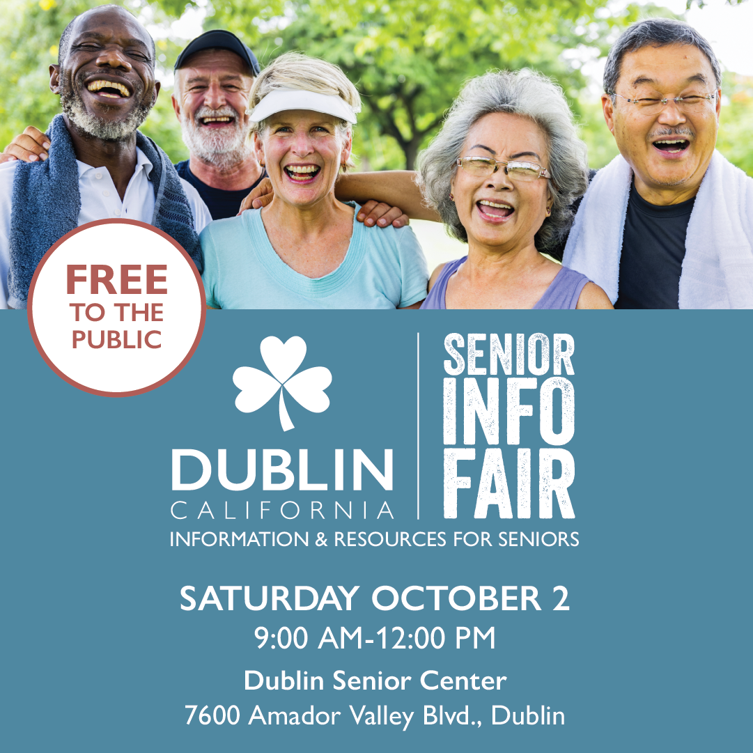 dublin passport fair