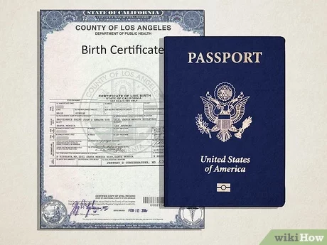 easy apply passport