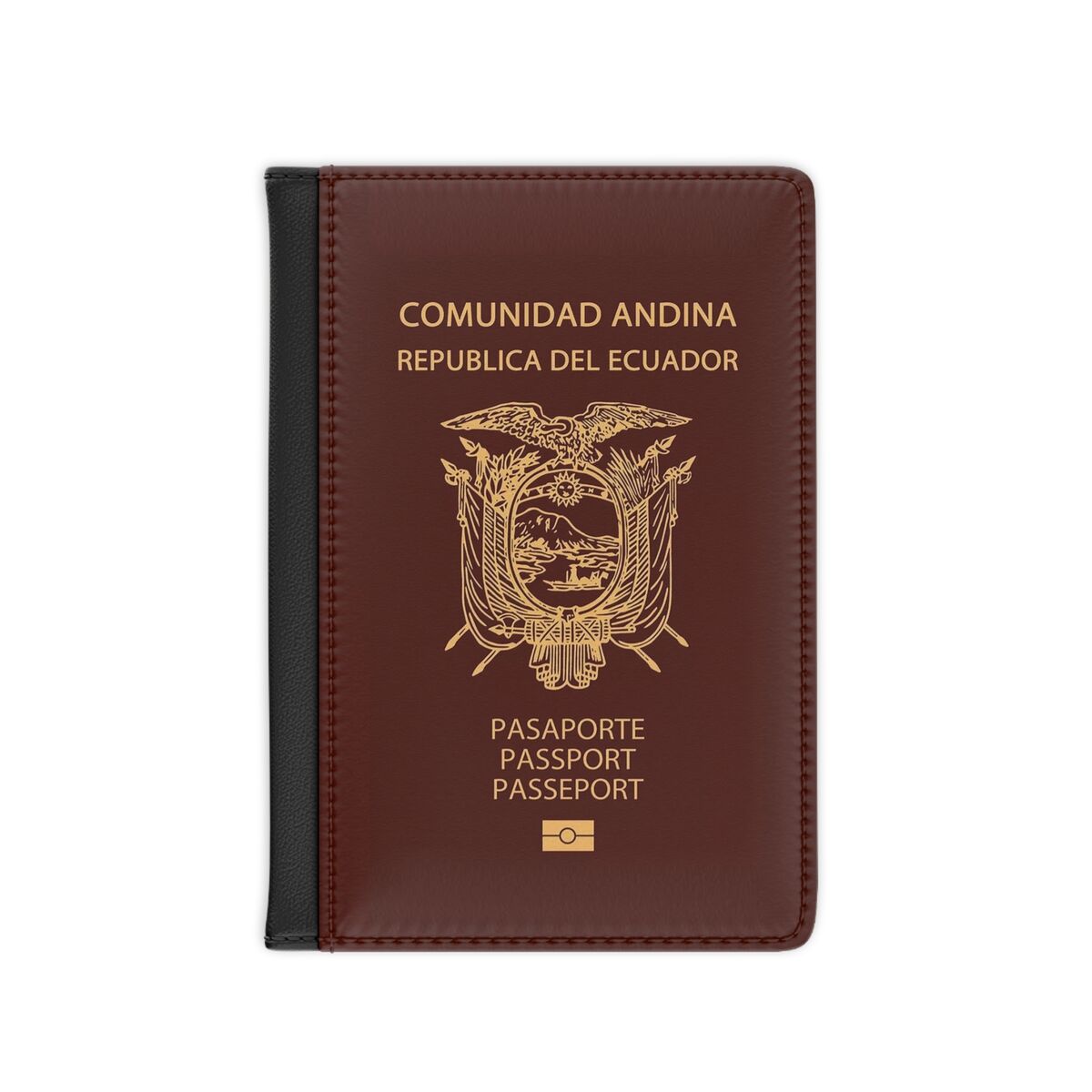 ecuador passport requirements