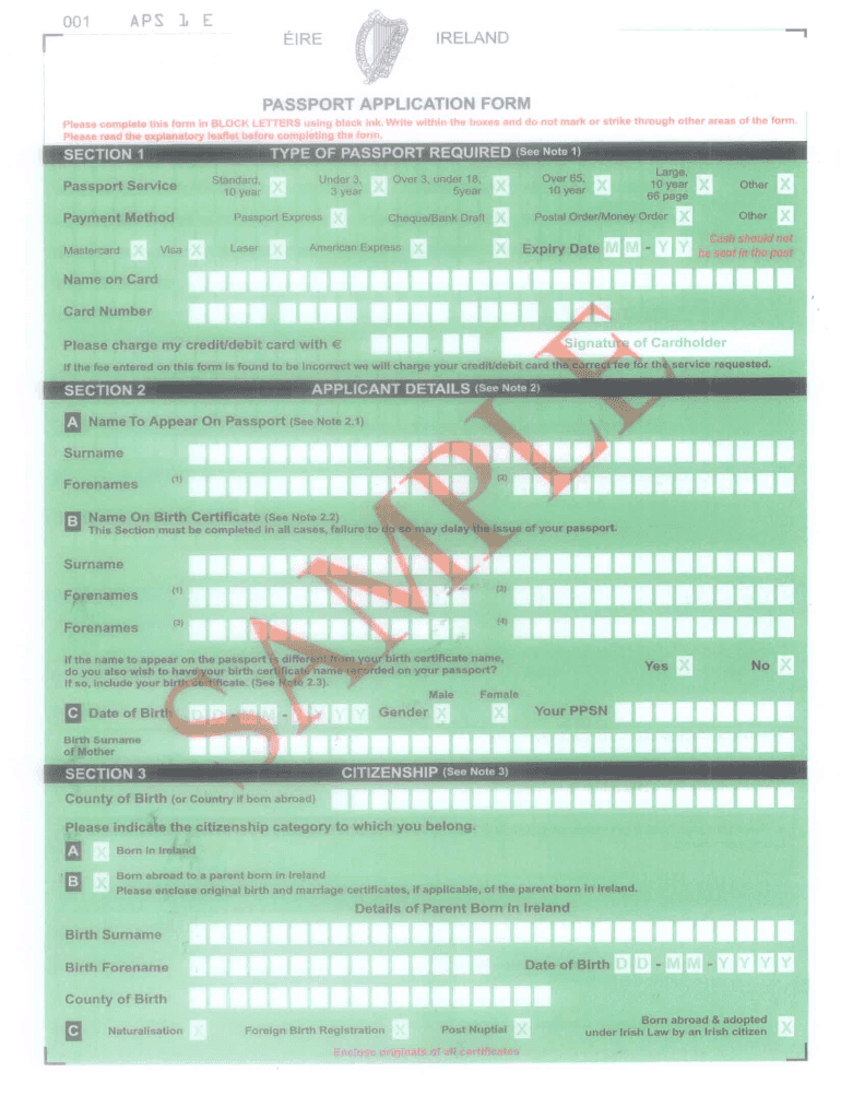 eire passport application