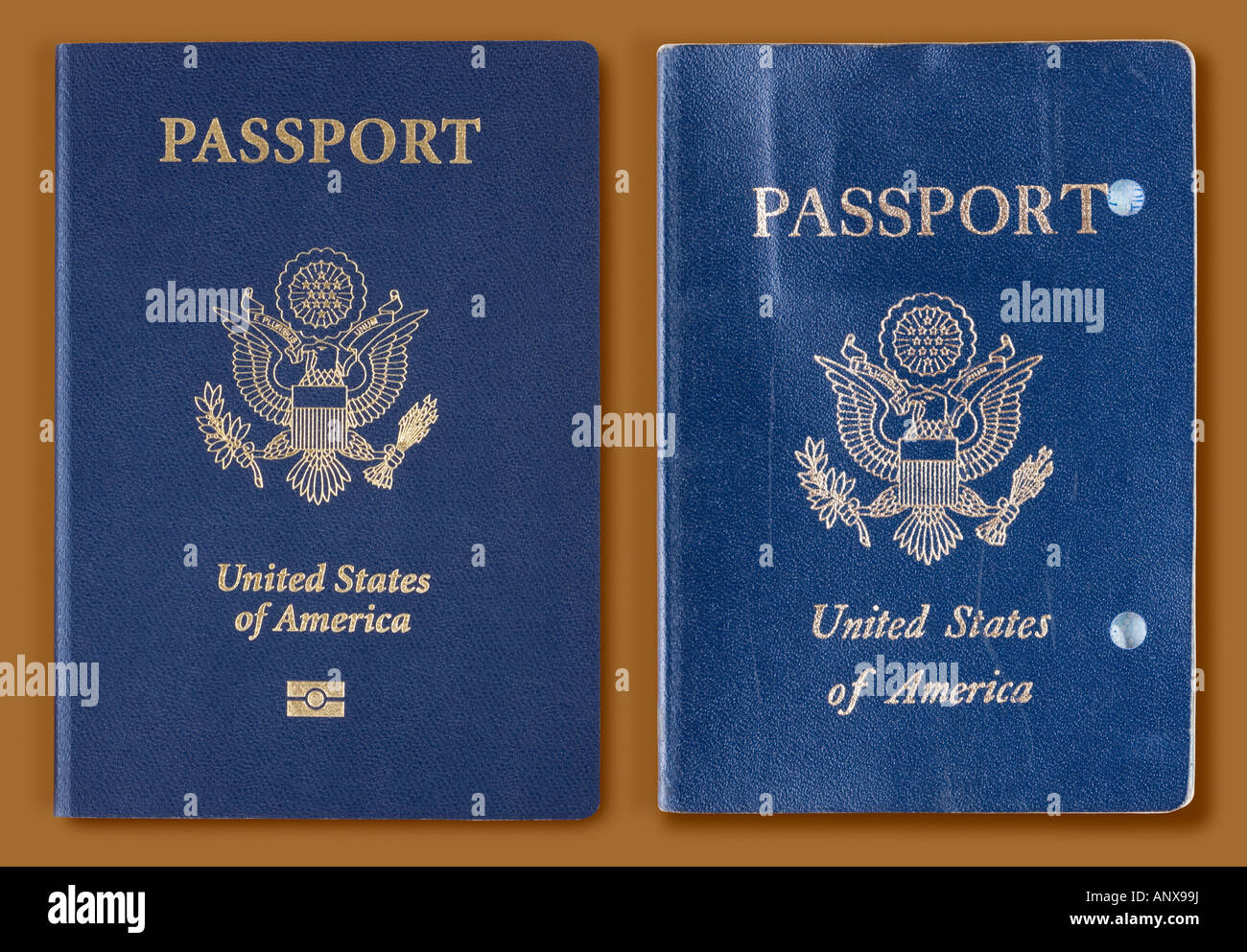 electronic us passport