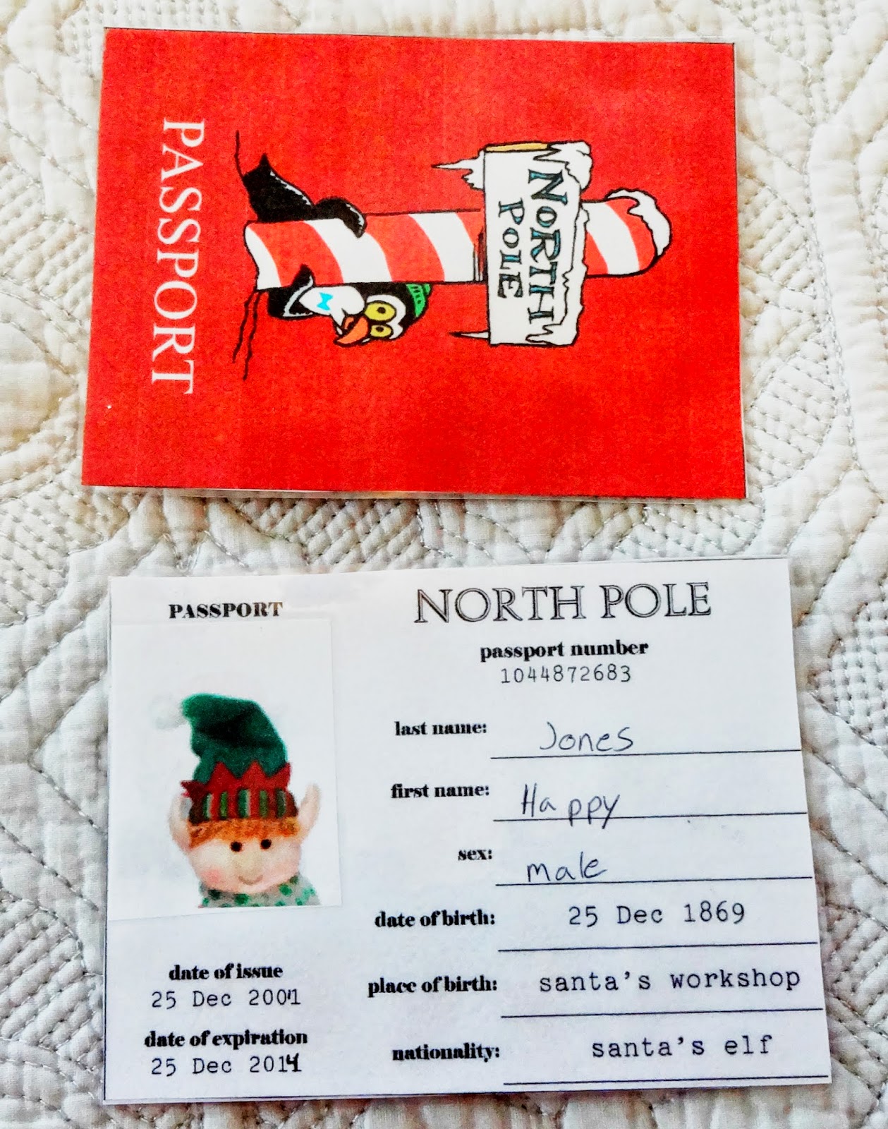 elf on the shelf passport