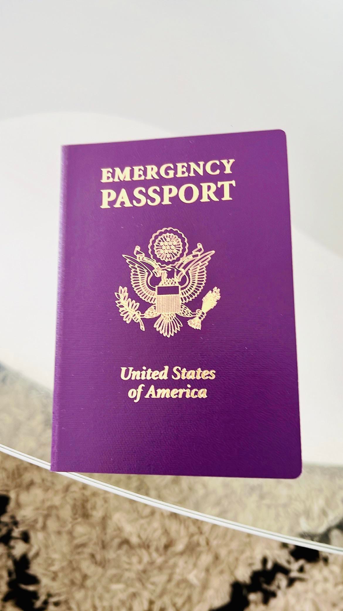 embassy passport