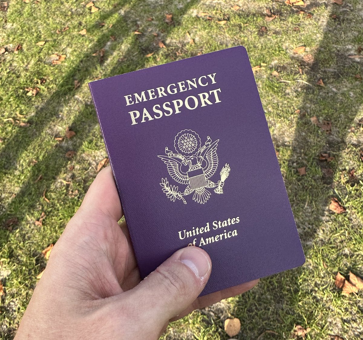 emergency u.s. passport