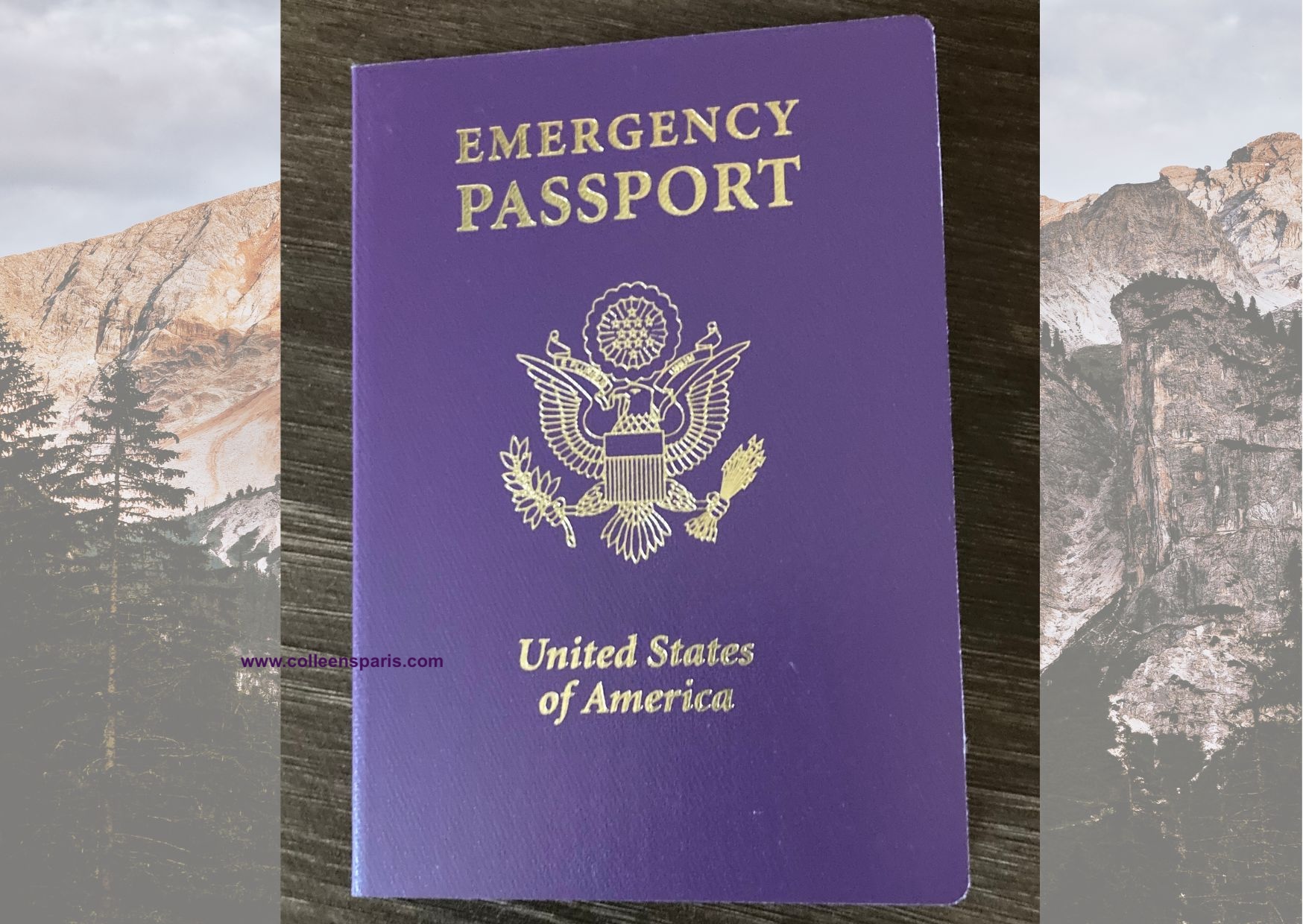 emergency usa passport