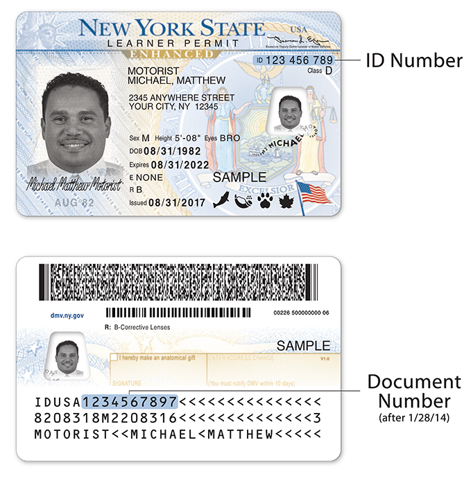 enhanced license vs passport