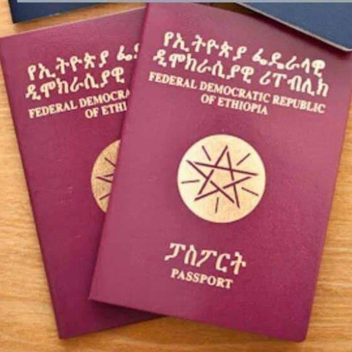 ethiopia passport free visa countries