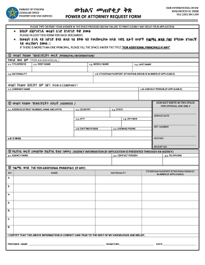 ethiopian embassy passport renewal usa