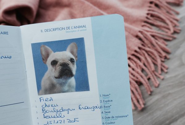 eu dog passport