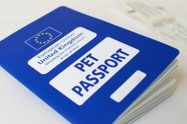 eu dog passport