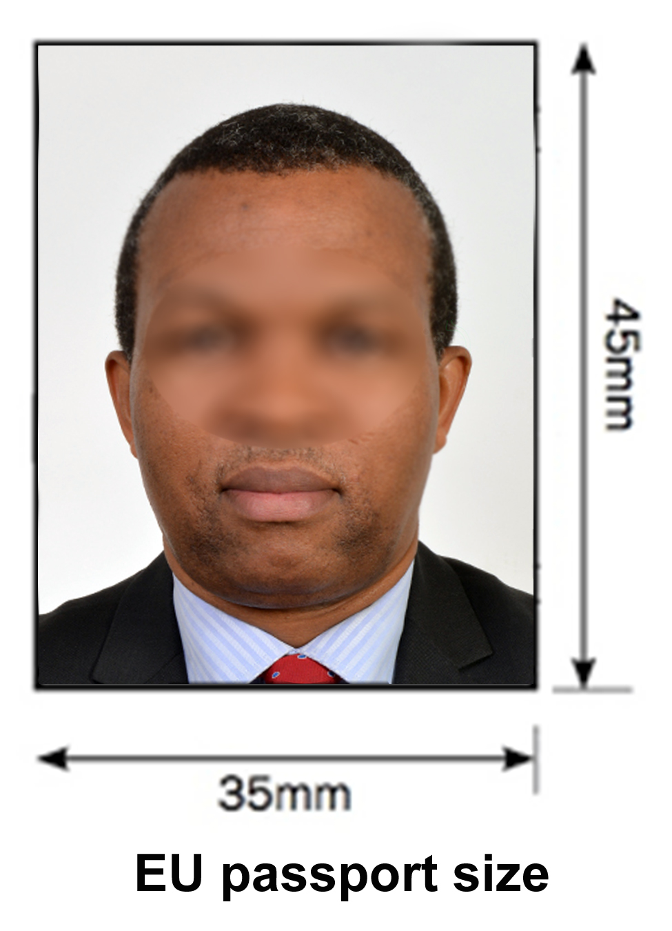 eu passport photo size