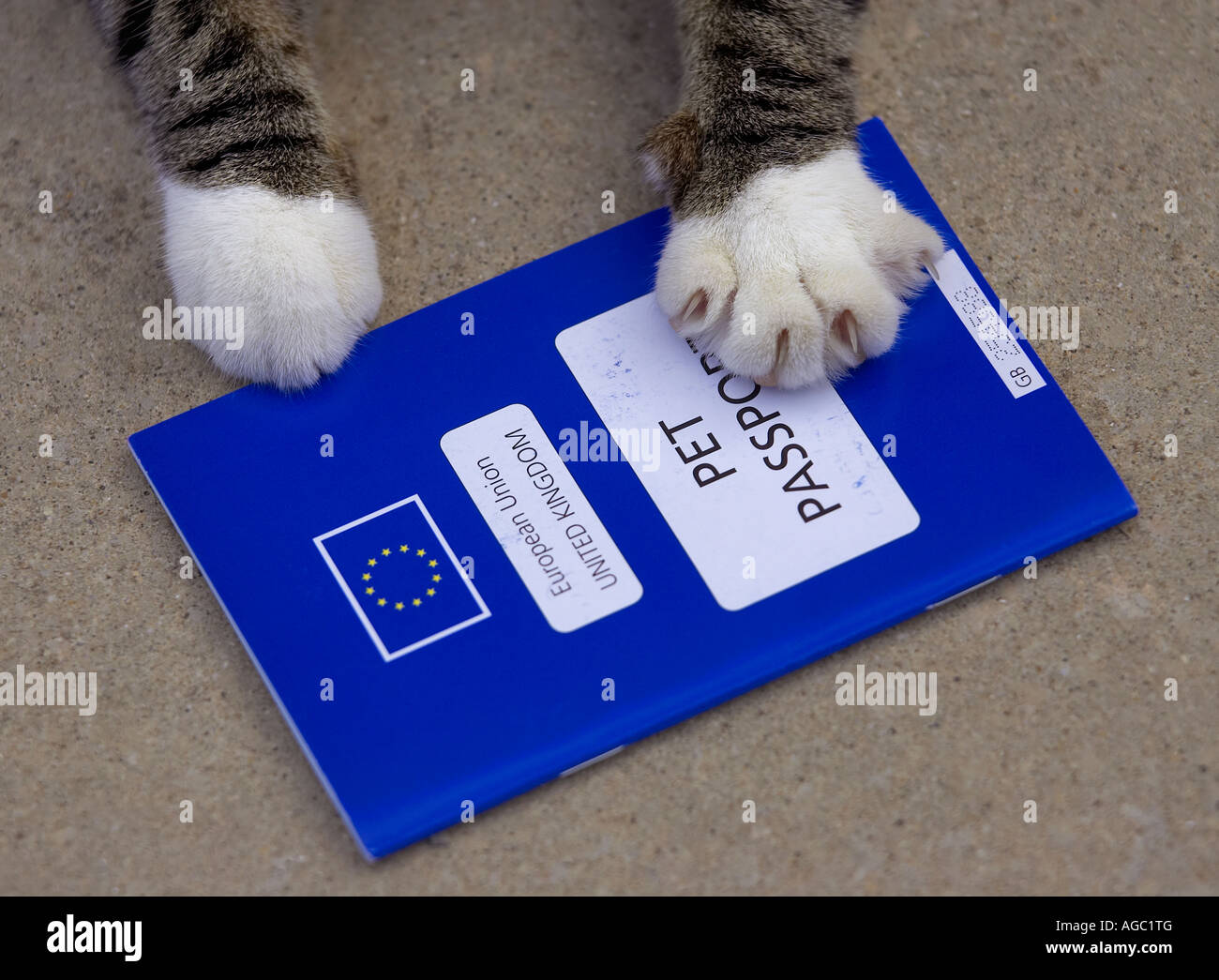 europe pet passport